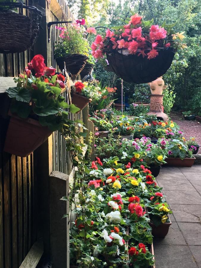 38 Whitehall Road Harrow on the Hill Extérieur photo