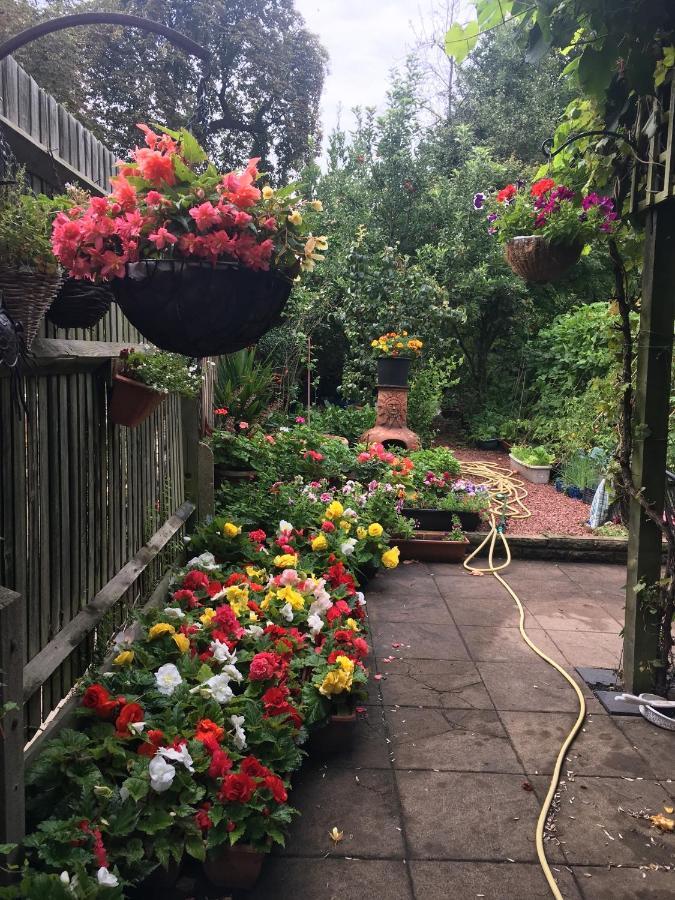 38 Whitehall Road Harrow on the Hill Extérieur photo